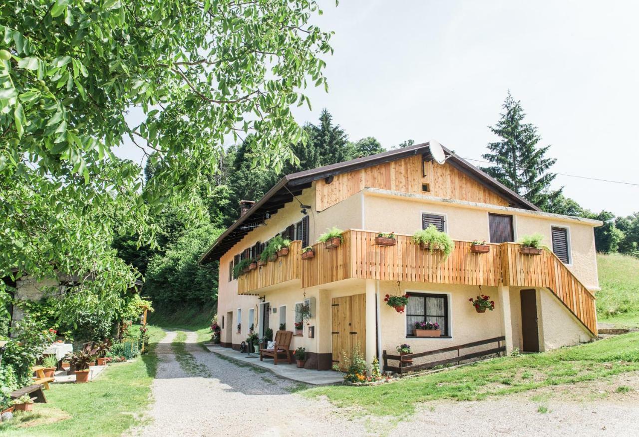 Pocitniska Hisa Pologar Guest House Tolmin Ngoại thất bức ảnh